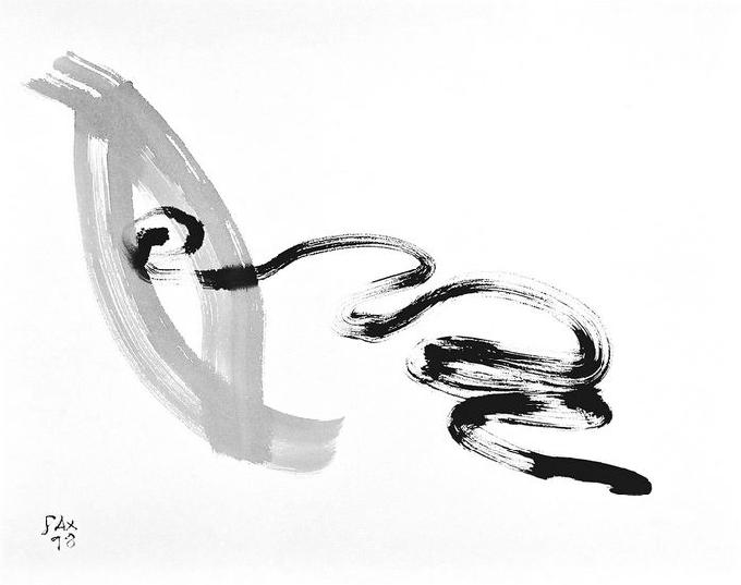 6-1998 evident 45x56 chf 1500.jpg